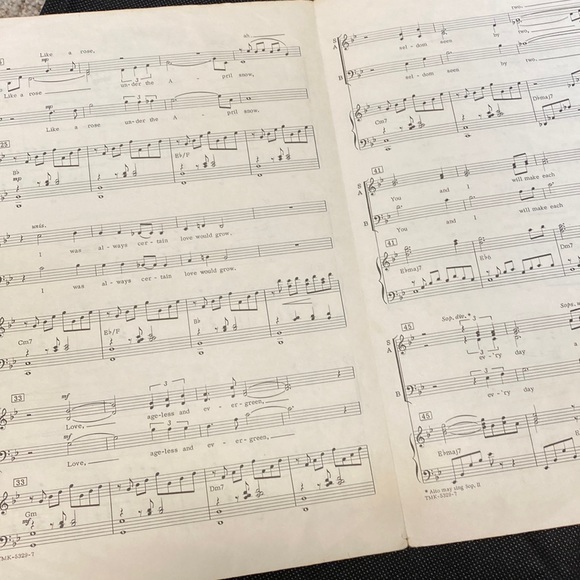 Vtg Barbara Streisand “Evergreen” Words & Music by Warner Brothers - Picture 2 of 3